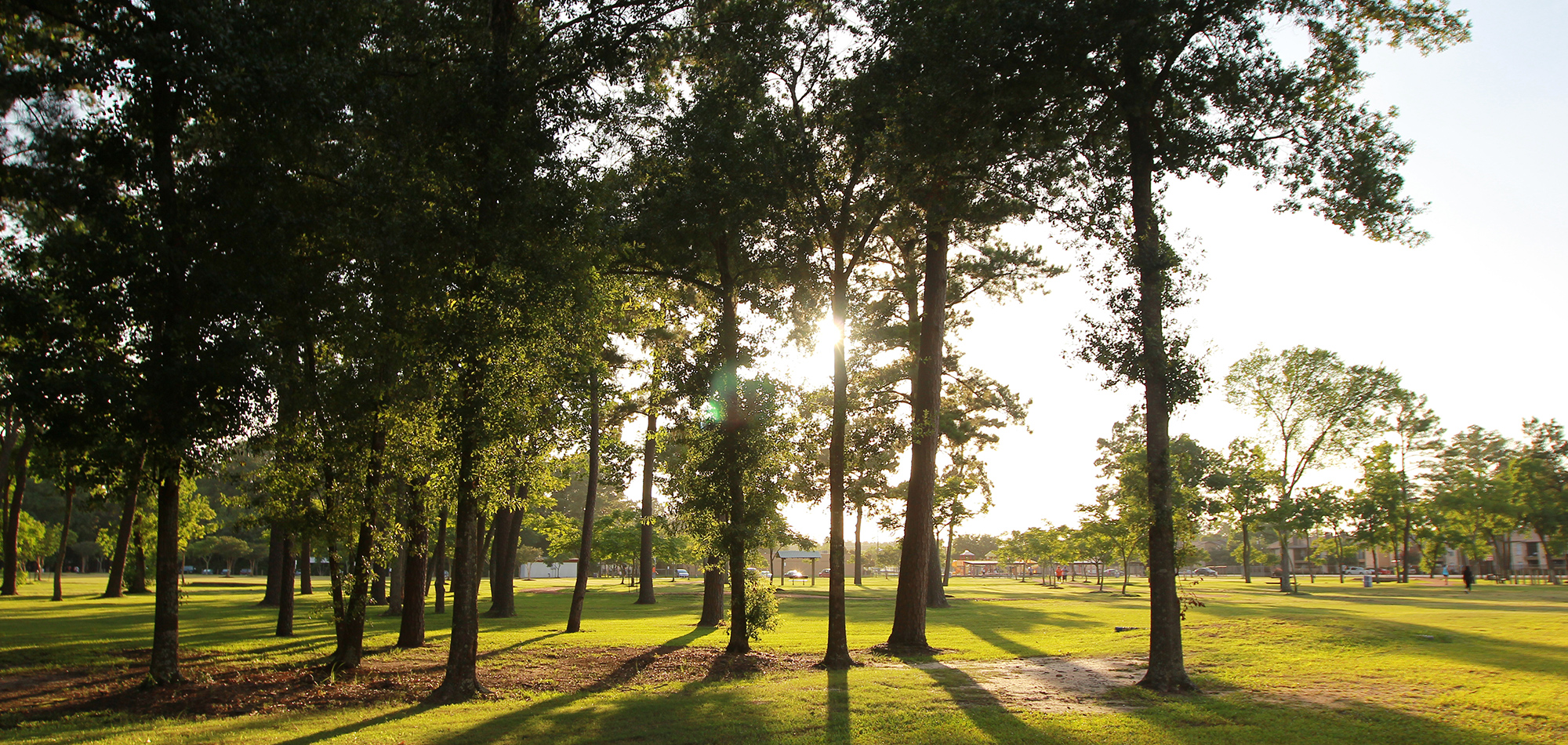 | Visit Humble Texas